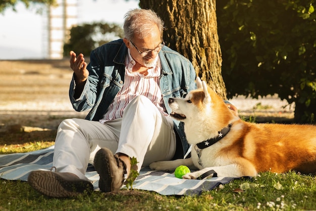 ひげと眼鏡をかけた嬉しい白人の年配の男性が犬とボール遊びをし、公園でピクニックを楽しむ