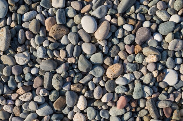 Gladde afgeronde kleurrijke strandstenen