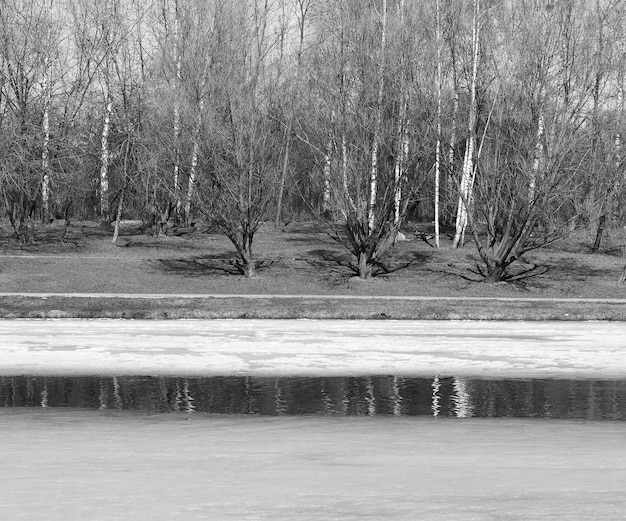 Поляна на фоне ландшафта замерзшей реки