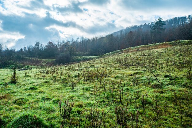 Glade on the hill near the forest on a cloudy autumn day