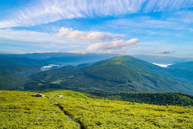 草が茂った丘の上の霧の中に谷がある朝の田舎の春の風景の空き地 明るい青空にふわふわの雲 自然の新鮮さの概念