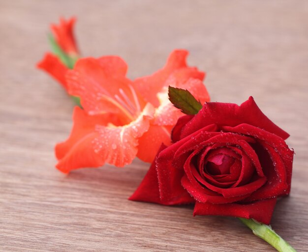 Gladiolus flower with rose on wooden surface