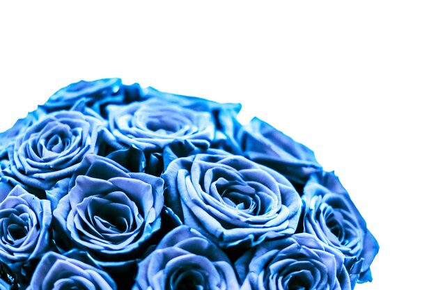 Photo glamour luxury bouquet of blue roses flowers in bloom as floral holiday background