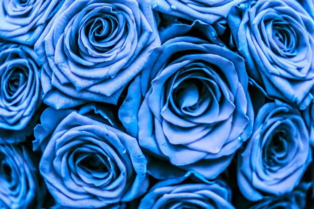 Photo glamour luxury bouquet of blue roses flowers in bloom as floral holiday background