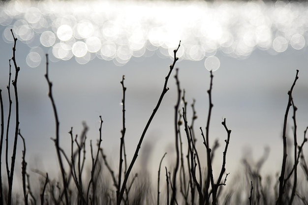 Glare on the water Background Blur Nature