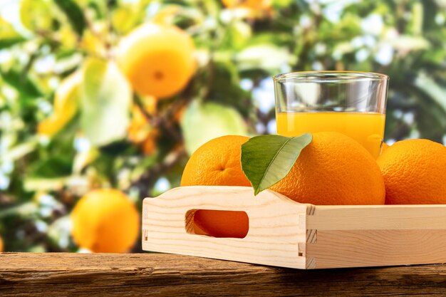 Glas jus d'orange en oranje fruit op aard.