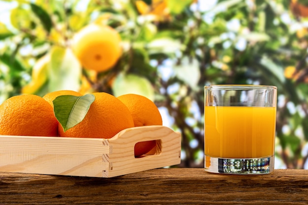 Glas jus d'orange en oranje vruchten op aardachtergrond.