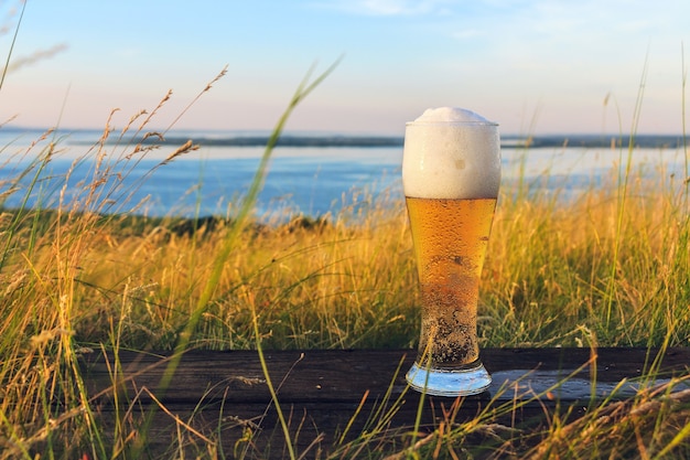 Glas koud bier bij zonsondergang op de achtergrond van tarweveld en blauwe lucht Zomerlandschap Recreatie en ontspanning Vers gebrouwen bier Schilderachtig uitzicht op zee vanaf de top van heuvels