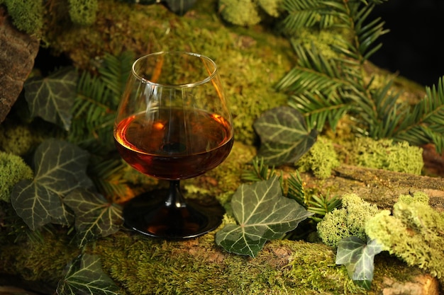 glas whiskydrank op de groene bosachtergrond met mos
