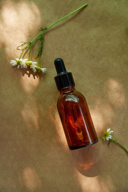 Glass amber cosmetic dropper bottle with black lid with shadows and chamomile flowers on natural background Skincare products natural cosmetic Beauty wellbeing product for face and body care