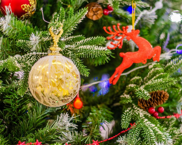 A glass ball on a Christmas tree.