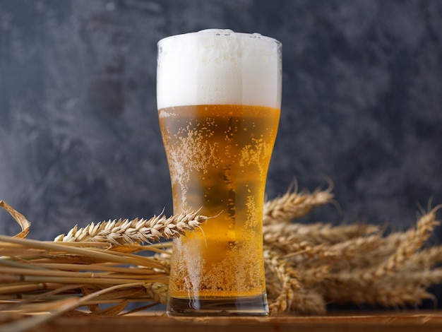 A glass of beer against a dark wall