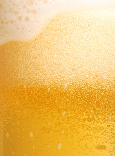 Glass of beer close-up with froth