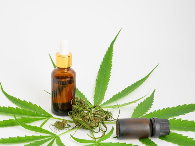 Glass bottle CBD oil cannabis extract marijuana leaf and bud on white background , Medical herb concept.