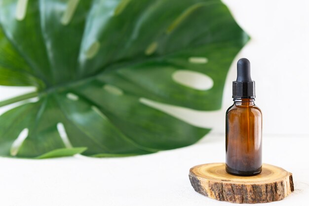 Glass bottle for cosmetics on the background of the monstera