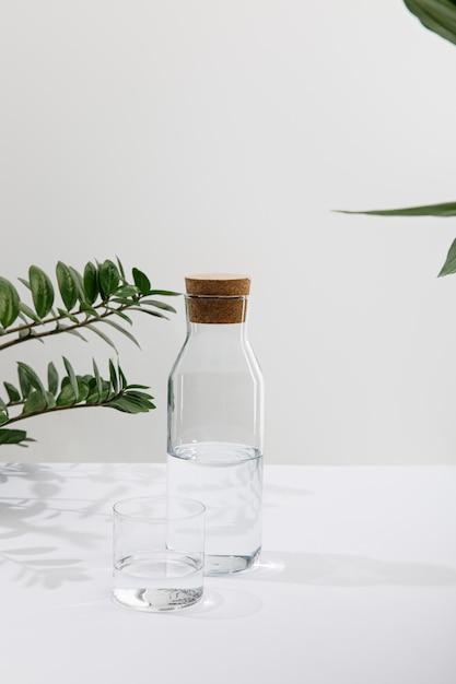 Glass and bottle of fresh water near green plants on white surface isolated on grey