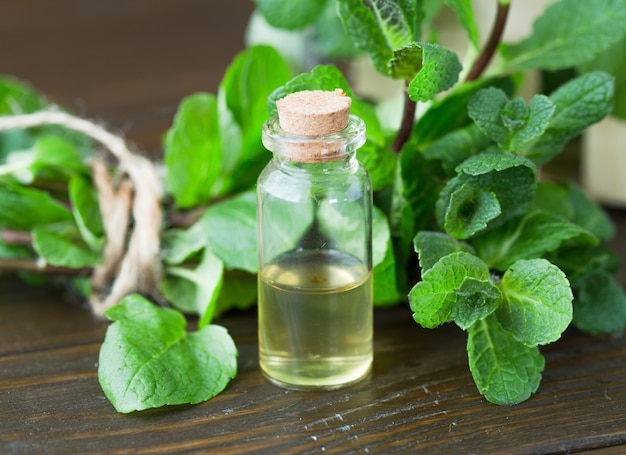 Photo glass bottle with aromatic oil and a sprig of mint on a white wall