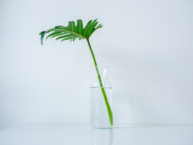 Glass bottle with palm leaf on white table