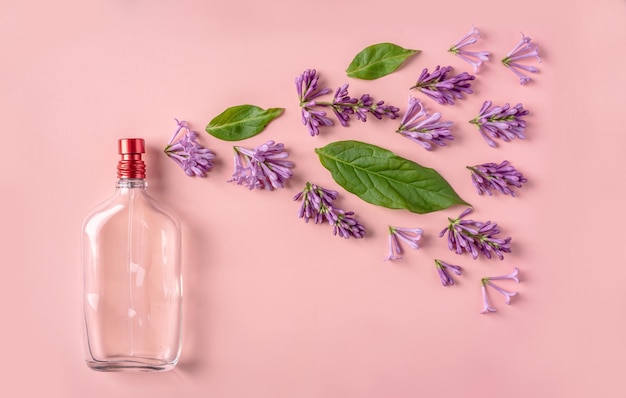 Bottiglia di vetro con profumo e foglie e fiori lilla su sfondo rosa