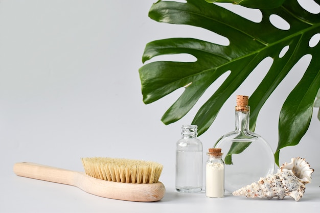 Glass bottles and a brush with Araceae and a shell on a light surface