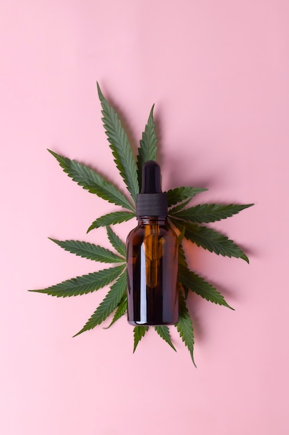 Bottiglia di vetro marrone con olio di cannabis e foglie di canapa su sfondo rosa.