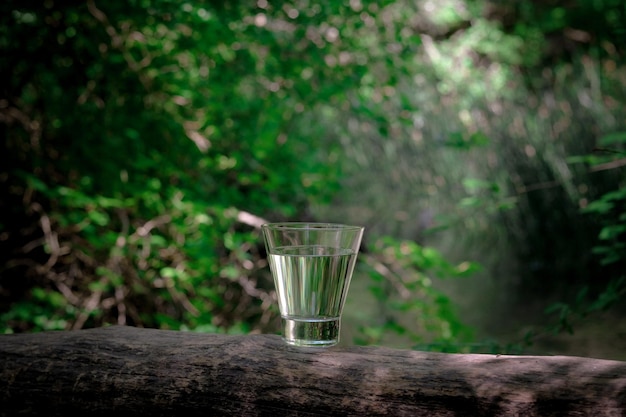 Un bicchiere d'acqua pulita sulla natura nella foresta e nel fiume concetto di uno stile di vita sano e rispetto dell'ambiente