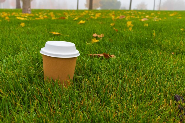 A glass of coffee with a straw in the green grass