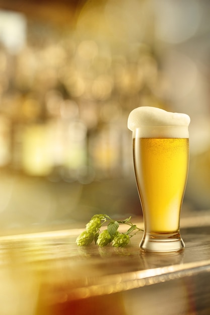 冷たい新鮮なラガービールと木製のバーの枝のグリーンホップのグラス