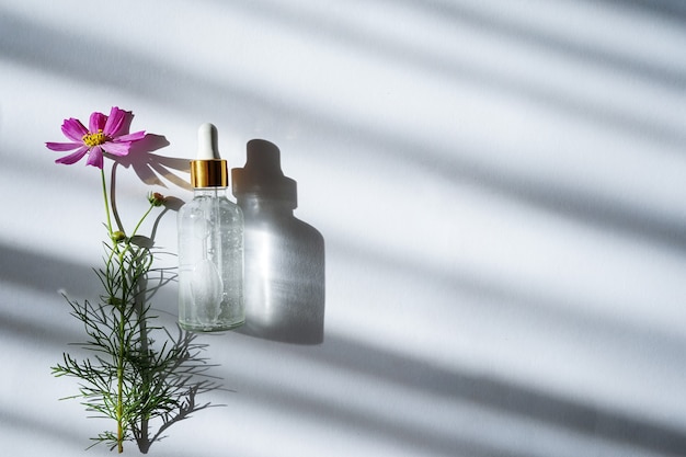 glass cosmetic bottle with pipette and flower with clear shadows.