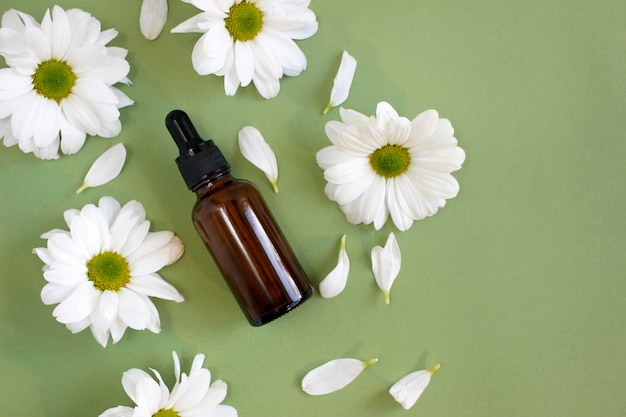 Glass cosmetic bottles. Blank label for branding mock-up. Natural beauty product concept.