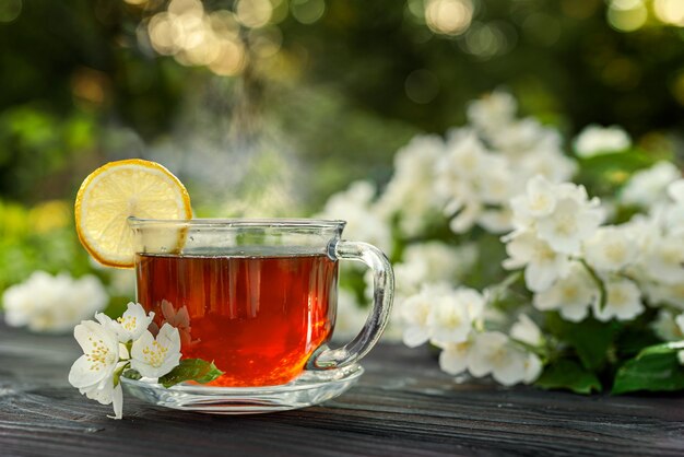 Glass cup with tea, lemon, jasmine branches on a wooden table. Outdoor, picnic, brunch.