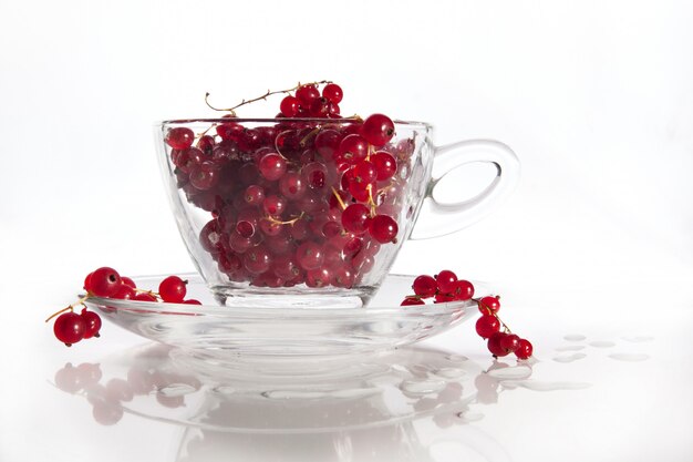 Glass cup with wet red currant