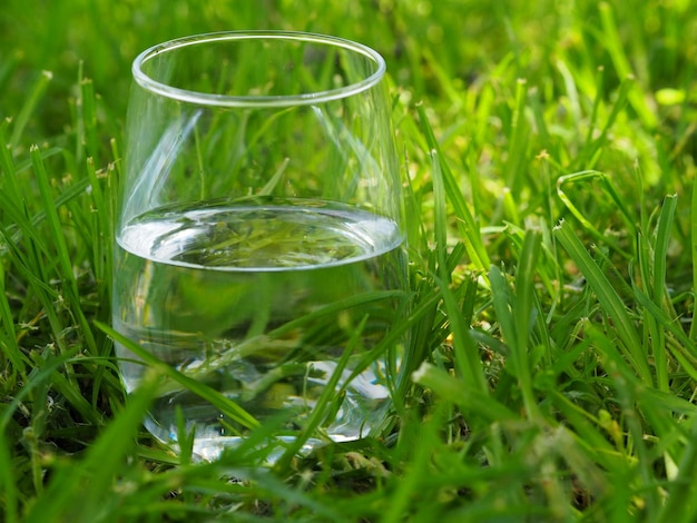 Glass of drinking water on green grass