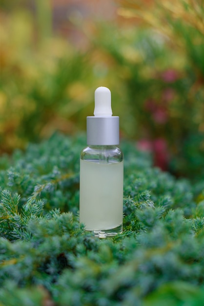 glass dropper bottle for cosmetic oil or serum on grass