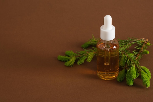 glass dropper bottle with cosmetic serum or oil and a sprig of spruce with fresh shoots young shoot