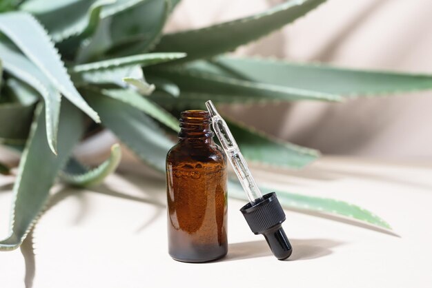 Glass dropper bottles on the aloe background