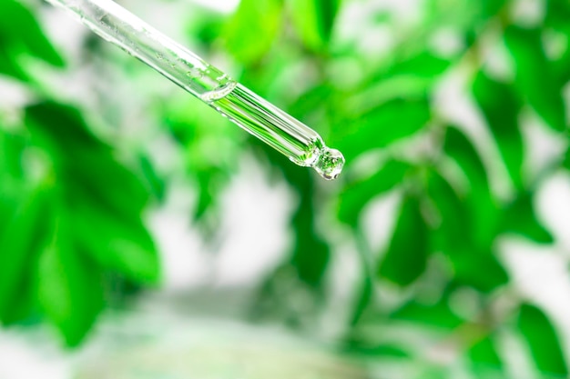 Glass dropper with a liquid cosmetic product on the background of green plants closeup