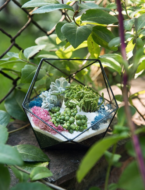 Photo glass florarium with succulent plants inside among green leaves