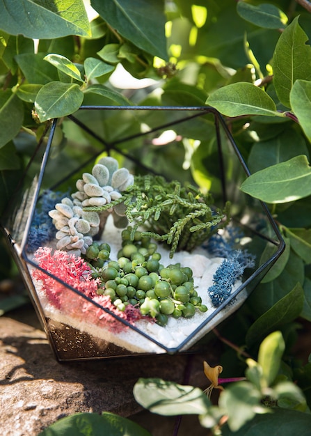 Glass florarium with succulent plants inside among green leaves