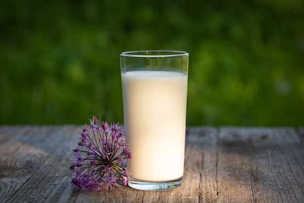 Foto un bicchiere di latte fresco e fiori all'aria aperta.