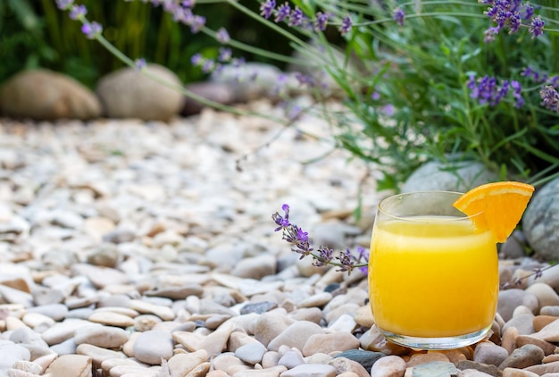 Glass of fresh orange juice garnished with a slice of ripe orange in the summer garden