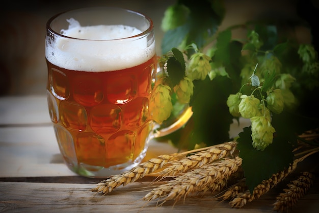 A glass of fresh wheat beer Hops and ears of wheat