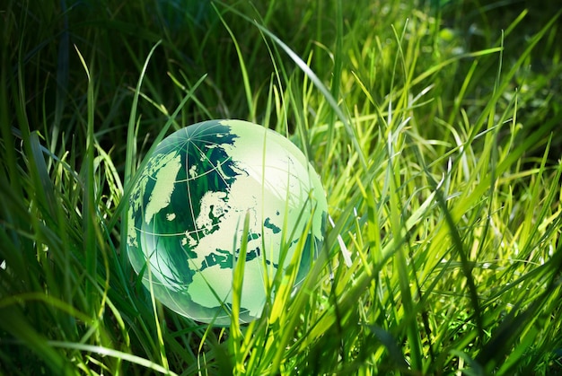 Photo glass globe in the grass