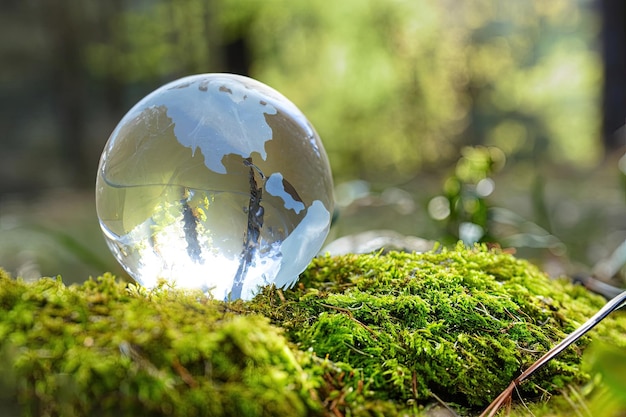 A glass globe sits on a mossy surface.