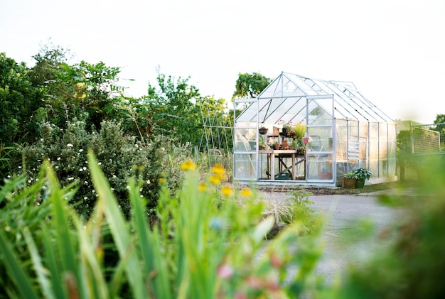 Photo glass greenhouse