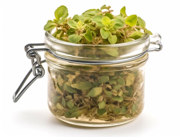 A glass jar of baby spinach is filled with water.