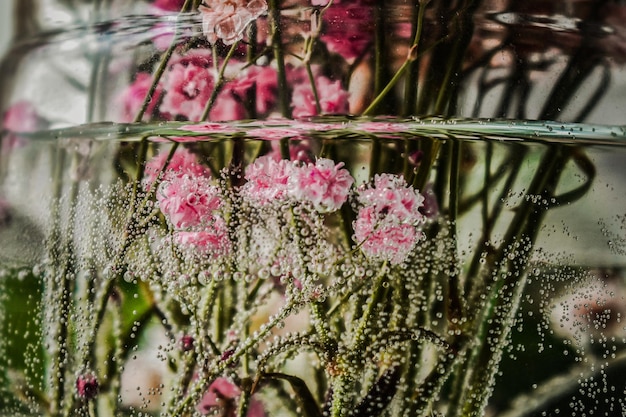 A glass jar of flowers with the word chrysanthemum on it