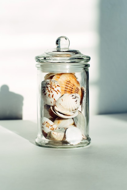 Vaso di vetro con una varietà di conchiglie. decorazioni per interni in stile scandinavo.