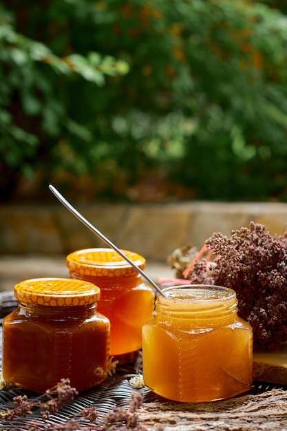 Glass jars of natural honey on a background of green leaves