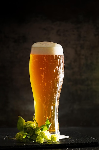 Photo glass of light beer with hops around on a dark background